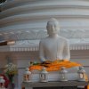 970.00 img_4108